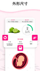 怀孕计算器和日历逐周 - 怀孕追踪器 - 怀孕管家 screenshot
