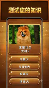 智慧之树: Trivia Blocks screenshot