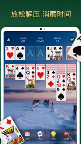 经典纸牌接龙游戏 - Solitaire screenshot