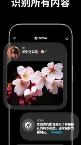 AI 聊天助手 - Nova screenshot