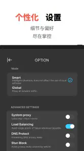 黑石 VPN - 加速每一秒 screenshot